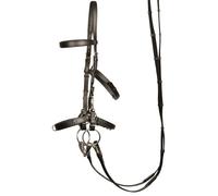 Caveçons cuir pour cheval Harry's Horse Noir Cob
