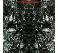 CAVEM3N - THE STALEFIELD INCIDENT (BLACK VINYL/GTF) VINYL LP NEUF