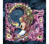 Cavern Womb - Stages of Infinity [Import]