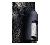 Caverne À Chauves-Souris 2FN