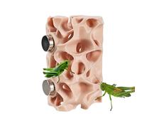 Caverne pour Reptiles | Abri Magnétique pour Animal de Compagnie - Habitat de Grenouilles - pour Terrarium Mygale Sauteuse Grenouille Arboricole Gecko Lézard Amphibien Nouveau Animal De