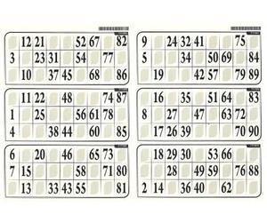 cavernedesjouets 6 cartons Loto Bingo sur 1 Planche Format 29x20cm - Epais 1 mm, Couleur Ivoire - Carte Multi grilles - Set Accessoire et Carte Tigre