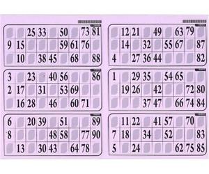 cavernedesjouets Carton de Jeu Loto - 6 grilles sur Une Plaque 29x20cm, Epais Rigide 1 mm, Usage Frequent - Coloris Lilas - Set ccessoire et Carte