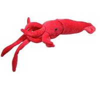 cavernedesjouets Peluche Calamar 50cm - Peluche Animaux de la mer - Marins - Set Doudou Enfant avec Une Carte Tigre - nouveauté
