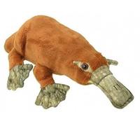cavernedesjouets Peluche Enfant ornithorynque 40 cm - Set Doudou Enfant : Animaux Aquatiques - avec Une Carte Animal