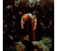 Cavetown - Worm Food [Compact Discs]