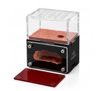 CaveView Mini nid de fourmis vertical avec double système d'humidité Env. 6,6 × 4,4 × 8,8 cm 2,6 × 1,7 × 8,9 cm Formicarium acrylique transparent avec zone de recherche supérieure