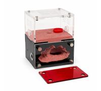 CaveView Petit nid de fourmis pour les nouvelles reines et les petites colonies avec Outworld clair et système d'humidité durable, env. 9 x 7 x 11 cm, port d'extension de 12 mm, couvercle