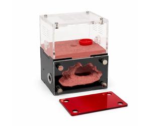 CaveView Petit nid de fourmis pour les nouvelles reines et les petites colonies avec Outworld clair et système d'humidité durable, env. 9 x 7 x 11 cm, port d'extension de 12 mm, couvercle