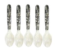 Caviar Sett Set - 5pcs Polie Mother of Pearl Spoon pour une plage délicate de service, des cuillères de dégustation élégantes non métalliques | Cuillère à table plate pour le plat d'oeuf à la crème gl