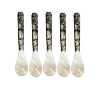 Caviar Spoons with Round Handles, Mother of Pearl Spoon, Caviar Server, Decorative Caviar Spoons, Caviar Egg Spoons, Ice Cream Serving Spoons, 5-Piece Caviar Spoon Set, Luxury Caviar Spoons, Elegant