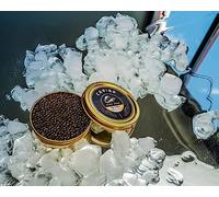 Caviar Top selection beluga hybride 6 x 30 gr