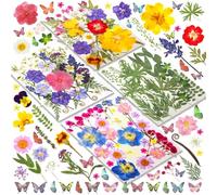 Cawished 120Pcs Fleurs Séchées Colorées 30 Types Fleurs Pressées Séchées Naturelles Papillons Stickers pour DIY Bijoux Ongles Bougies Résine Décoration
