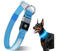 CAWJUG Collier lumineux rechargeable pour chien - 3 modes lumineux - Collier LED avec sangle réglable douce et aérée - Pour chiens de petite et grande taille (bleu, M)