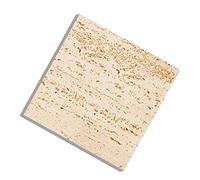 CAXUSD 1pièce Proposition De Titre Accessoire Photo Unique Naturelle Support Chic pour Bijoux Et Cosmétiques pour Shooting De Produits Et Portraits