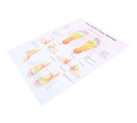 CAXUSD Foot Reflexology Poster Éducatif Réflexologie et Acupression pour Salle de Massage Cabinet Médical Déco Muraire Professionnelle