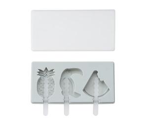 CAXUSD Moule à Glace en Silicone Réutilisable Forme Fruit et Oiseau Facile à Ranger 2 Ensembles avec Couvercle et Bâtons en Plastique pour Fabrication DIY de Glace Maison