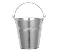 CAXUSD Seau en Métal Argenté 12 CM Profondeur Petit Seau à Fleurs Rustique pour Succulentes et Herbes Aromatiques Polyvalent pour Décoration Intérieure et Jardin