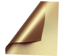 CAXUSD Tapis De Gril Antiadhésif en Fibre De Verre Doré pour Barbecue Extérieur Lot De 5 Pièces Réutilisables, Résistants à Haute Température, Coussin De Cuisson Polyvalent pour Légumes Et Poissons