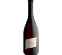 Cayas Syrah Réserve 2020 - Domaine Jean-René Germanier