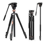 Cayer FP2450 Fluid Head Tripod, 75 inches Aluminium Video Tripod, 4-Section Compact Camera Tripod Convertible to Monopod for DSLR Camera, Load Capacity up to 13.2 pounds