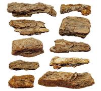 Cayway 10 PCS Écorce D'arbres Miniatures, Accessoires de Diorama Miniatures, Kit d'Ornement Miniature, Roche de Miniature pour Décorer Les Mini Jardins