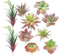 Cayway 10 PCS Plantes Succulentes Artificielles, Faux Succulent Rose sans Taches Animaux Série Succulente, Différents Types De Flocage Bleu pour Anniversaire Home Decor Mur Intérieur Jardin DIY
