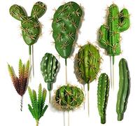 Cayway 10 Pz Succulente Artificielles Plantes Artificielle Cactus Succulentes Artificielles Petit Plantes Succulentes Artificielles Décoration pour La Maison Jardin Intérieur Décoration