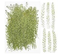 Cayway 100 PCS Fleurs Séchées Pressées Naturelles, Feuilles Naturelles Pressées à Sec, Pressé Fleur Décoratives pour Bricolage Art Décorations Florales Décors