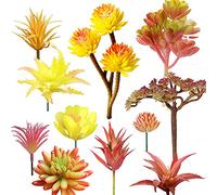 Cayway 11 PCS Artificielles Plantes Succulentes Couleurs Mélangées Faux Fleur Succulentes Artificielles Petit Plantes Succulentes Artificielles Décoration pour La Maison Jardin Intérieur Décoration