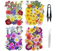 Cayway 160 PCS Fleurs Séchées Mélangées Kit avec Pince à Épiler et Ciseaux, Fleurs Pressées Séchées Naturelles pour L'artisanat d'art de Bricolage, Les Bijoux en Résine Epoxy