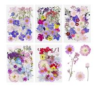 Cayway 170 PCS Bricolage Fleurs Séchées Ensemble Feuilles Naturelles Pressées à Sec, Noir et Blanc Fleurs Pressées Séchées Fleurs Sechees Naturelles pour L'artisanat d'art de Bricolage, Violet