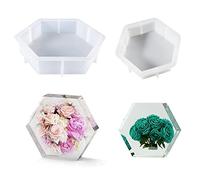 Cayway 2 Taille Hexagone Moule pour Resine Epoxy Hexagone Moules en Silicone Moulle Resine Epoxy pour La Préservation Des Fleurs, Décorations pour La Maison