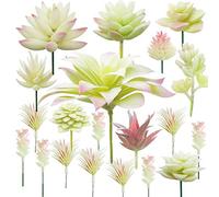 Cayway 20 PCS Artificielles Plantes Succulentes Crémeux et Rose Faux Fleur Succulentes Artificielles Petit Plantes Succulentes Artificielles Décoration pour La Maison Jardin Intérieur Décoration