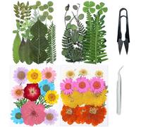 Cayway 4 Paquet Fleurs Séchées Pressées Naturelles, Feuilles Naturelles Pressées à Sec, Pressé Fleur Décoratives Mixtes Styles pour Bricolage Art Décorations Florales Décors (Verdâtre Jaune Rose)