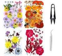 Cayway 4 Paquet Fleurs Séchées Pressées Naturelles, Pressé Fleur Décoratives Mixtes Styles pour Scrapbooking Artisanat, Bricolage Art Décorations Florales Décors, Style A