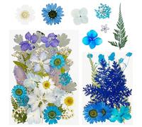 Cayway 40 PCS Bricolage Fleurs Séchées Ensemble Feuilles Naturelles Pressées à Sec, Bleu Fleurs Pressées Séchées Fleurs Sechees Naturelles pour L'artisanat D'art de Bricolage