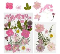 Cayway 40 PCS Bricolage Fleurs Séchées Ensemble Feuilles Naturelles Pressées à Sec, Rose Fleurs Pressées Séchées Fleurs Sechees Naturelles pour L'artisanat D'art de Bricolage