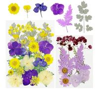 Cayway 40 PCS Bricolage Fleurs Séchées Ensemble Feuilles Naturelles Pressées à Sec, Violet Fleurs Pressées Séchées Fleurs Sechees Naturelles pour L'artisanat D'art de Bricolage