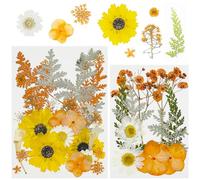 Cayway 40 PCS Fleurs Sechees Naturelles, Bricolage Fleurs Séchées Ensemble Feuilles Naturelles Pressées à Sec, Orange Fleurs Pressées Séchées pour L'artisanat D'art de Bricolage