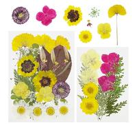 Cayway 40 PCS Fleurs Sechees Naturelles, Bricolage Fleurs Séchées Ensemble Feuilles Naturelles Pressées à Sec, Jaune Fleurs Pressées Séchées pour L'artisanat D'art de Bricolage