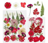 Cayway 40 PCS Fleurs Sechees Naturelles, Bricolage Fleurs Séchées Ensemble Feuilles Naturelles Pressées à Sec, Rouge Fleurs Pressées Séchées pour L'artisanat D'art de Bricolage