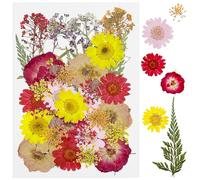 Cayway 40 PCS Fleurs Séchées Pressées Naturelles, Rose Rouge et Rose Pressé Fleur Décoratives Mixtes Styles pour Scrapbooking Artisanat, Bricolage Art Décorations Florales Décors