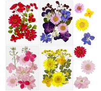 Cayway 48 PCS Fleurs Séchées Pressées Naturelles, Bunt Pressé Fleur Décoratives Mixtes Styles pour Scrapbooking Artisanat, Bricolage Art Décorations Florales Décors