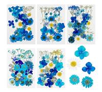Cayway 5 Paquet Fleurs Séchées Pressées Naturelles, 170 PCS Pressé Fleur Décoratives Mixtes Styles pour Scrapbooking Artisanat, Bricolage Art Décorations Florales Décors, Bleu