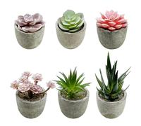 Cayway 6 PCS Plantes Succulentes Artificielles avec Pots, Succulentes Artificielles Décoratives en Pots pour Décoration de Maison, Bureau, Table, Chambre ou Salle de Bain