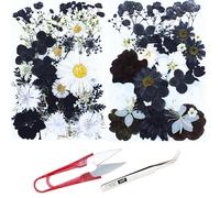 Cayway 60 PCS Bricolage Fleurs Séchées Ensemble Feuilles Naturelles Pressées à Sec, Noir et Blanc Fleurs Pressées Séchées Fleurs Sechees Naturelles pour L'artisanat d'art de Bricolage, Style A