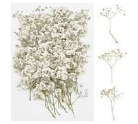 Cayway 60 Pièces Fleurs Séchées Naturelles, Fleurs Célestes Pressées, Kit de Bricolage pour Scrapbooking, Artisanat, Bricolage, Art Décorations Florales, Décors Blanc et Vert