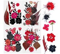 Cayway 64 PCS Fleurs Séchées Pressées Naturelles, Noir et Rouge Fleurs Séchées Ensemble Feuilles Naturelles Pressées à Sec, Fleurs Pressées Séchées pour L'artisanat D'art de Bricolage, Style C