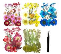 Cayway 84 PCS Bricolage Fleurs Séchées Ensemble Feuilles Naturelles Pressées à Sec, Pince à Epiler et Ciseaux, Fleurs Pressées Séchées Fleurs Sechees Naturelles pour L'artisanat D'art de Bricolage